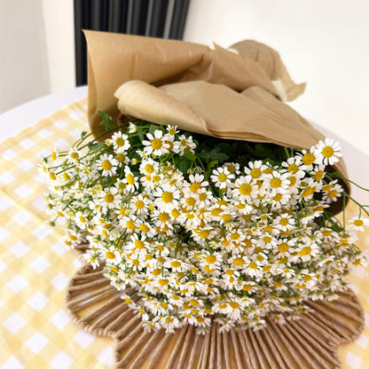 Mothers Day Mini Daisy Large Bouquet